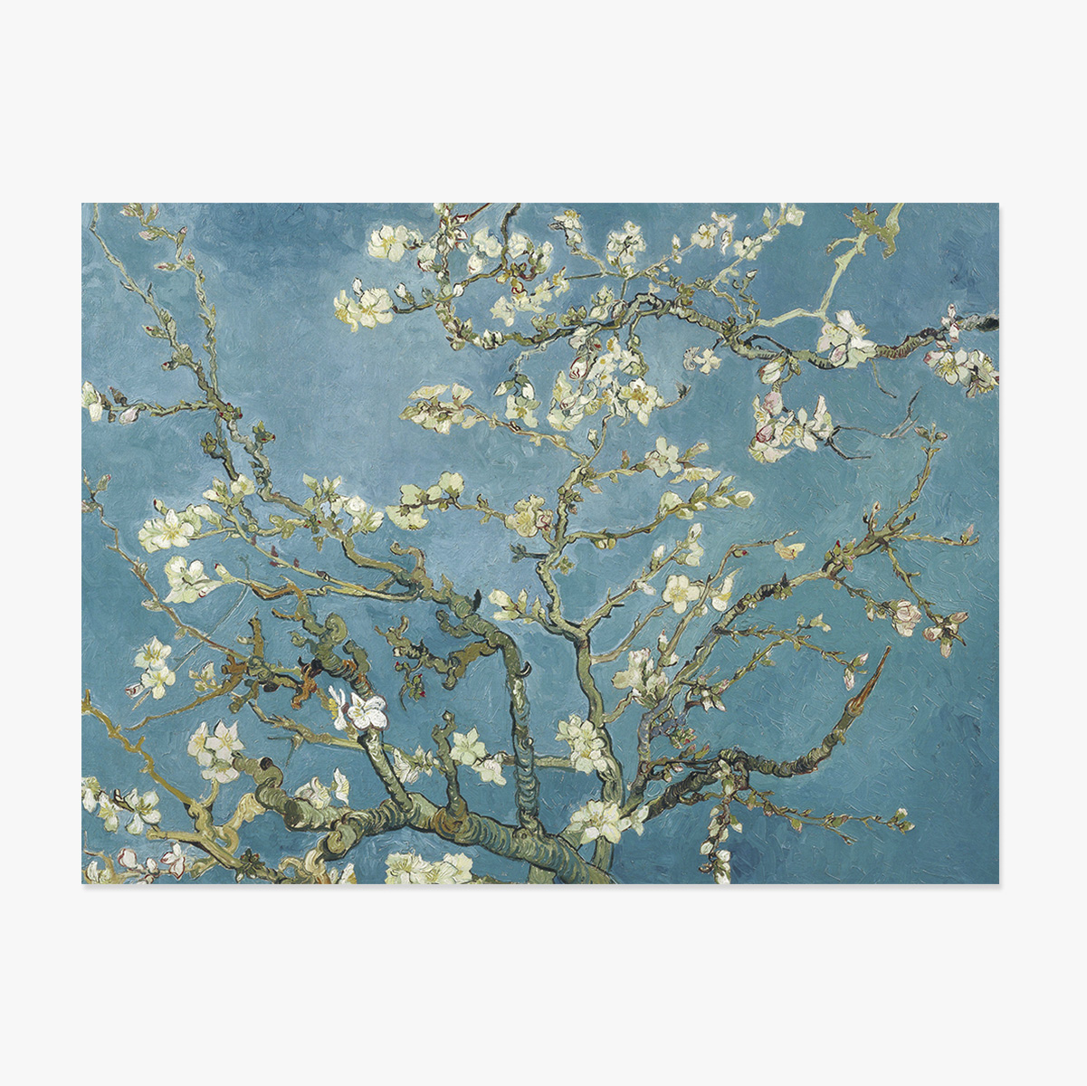 Landscape poster - Vincent Van Gogh - Almond Blossom Branches 1890