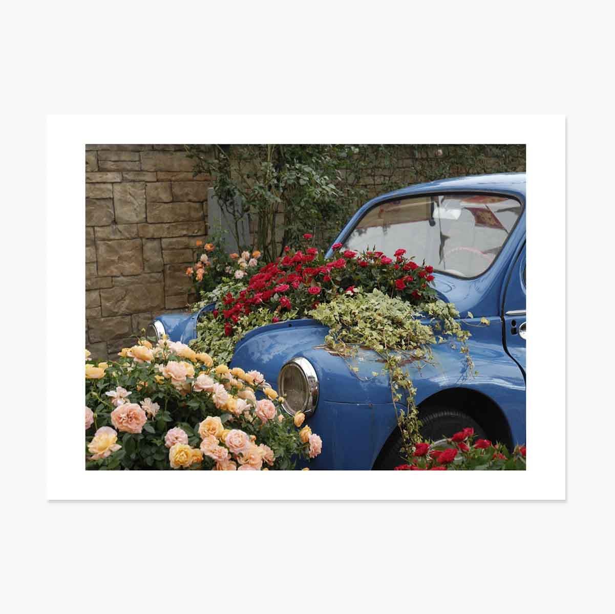 Plakát: Modré vintage auto s květinami