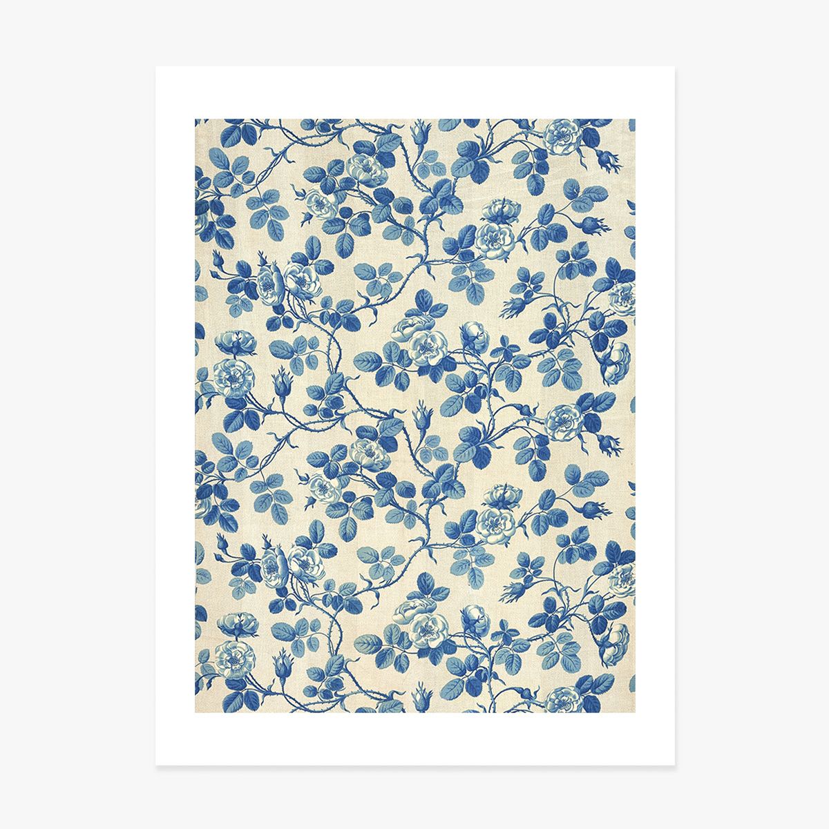 Blue Plants Poster