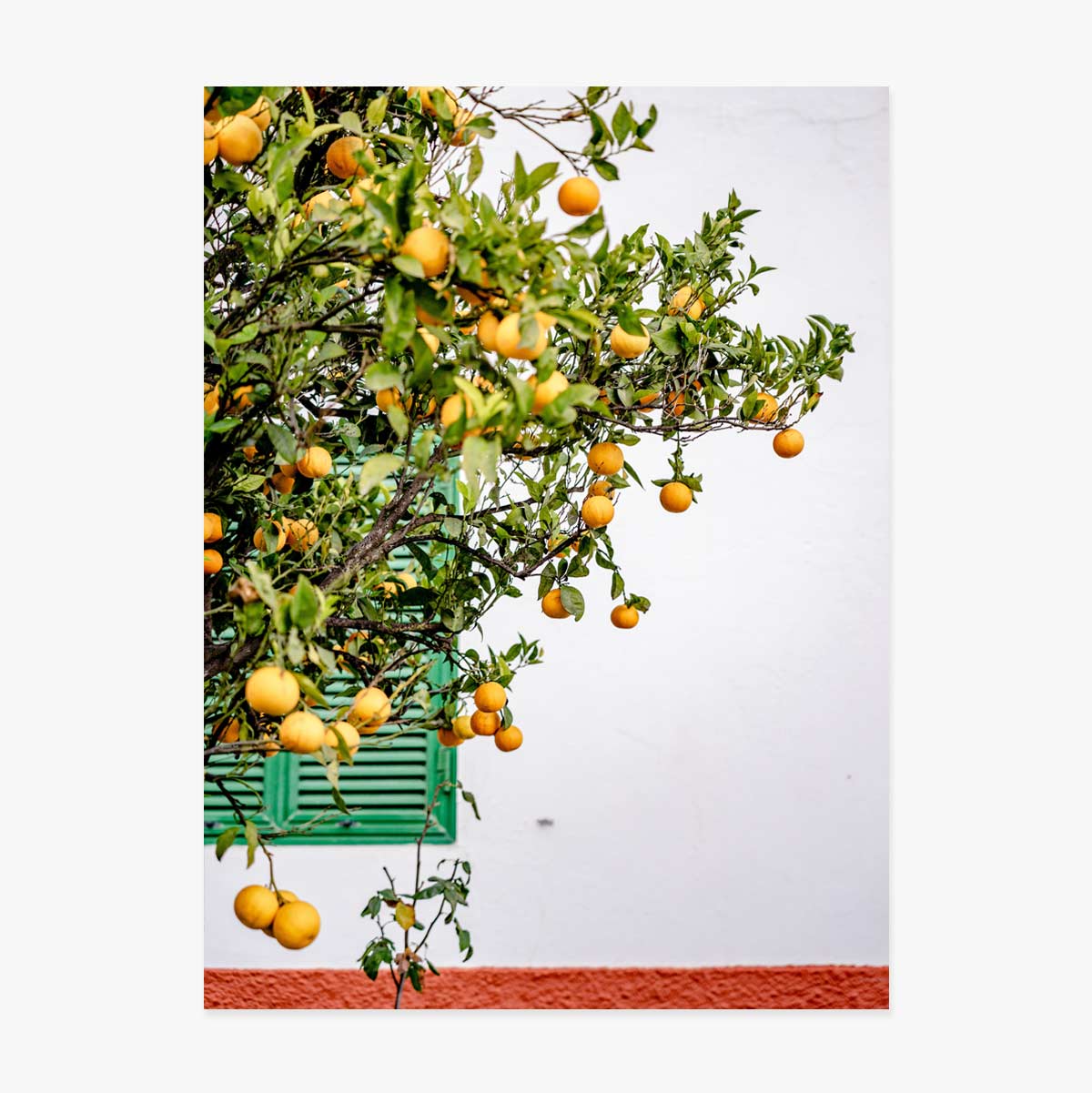 Plakát „Tangerines“