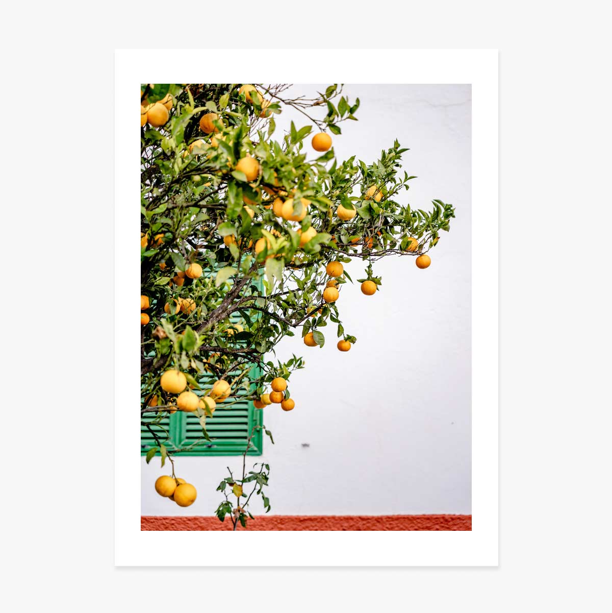 Plakát „Tangerines“